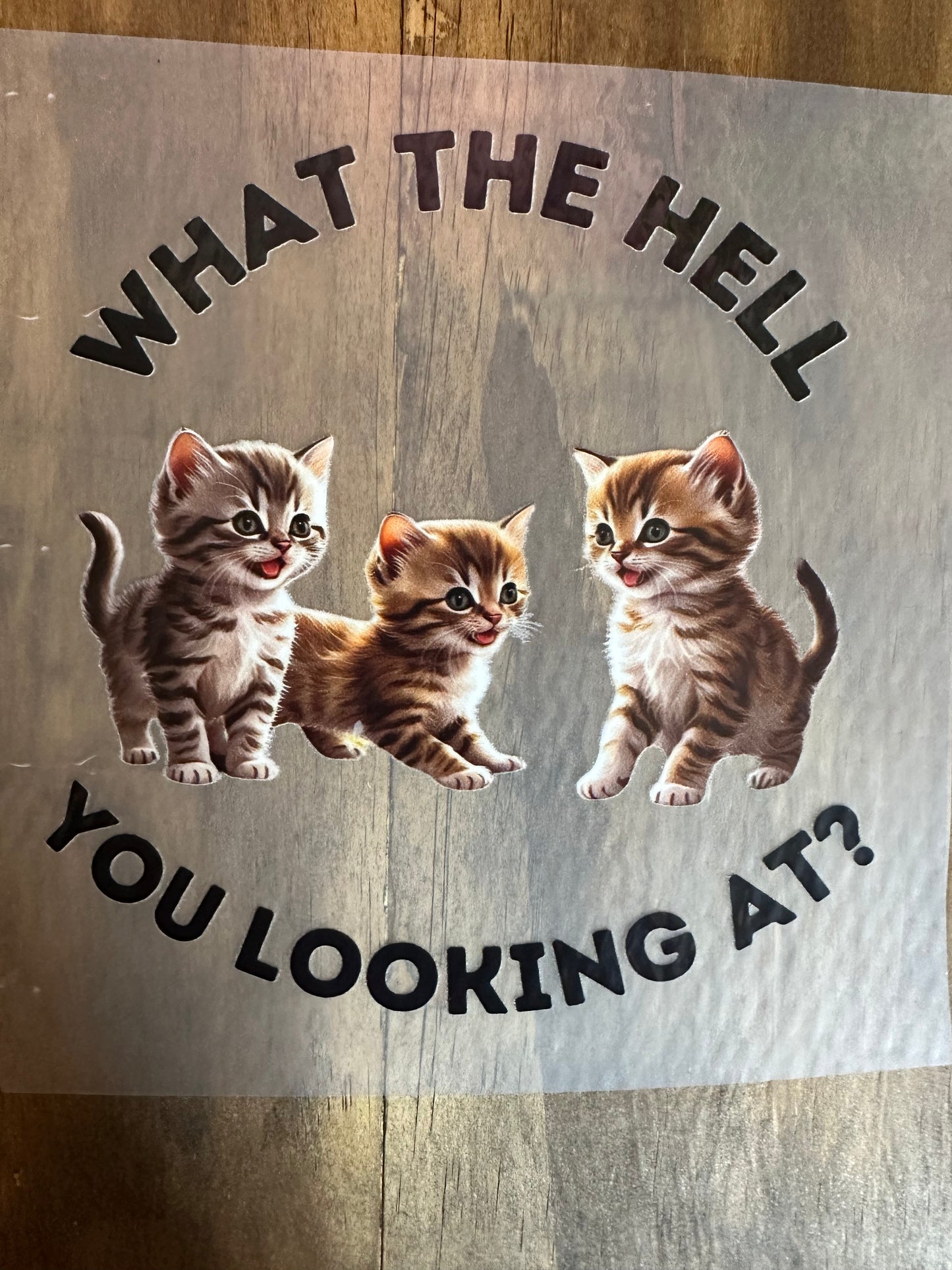 What the hell you looking at?