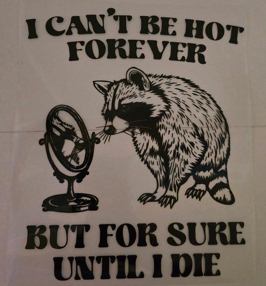 I can't be hot forever
