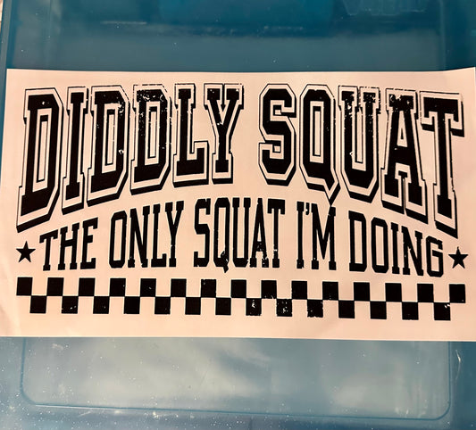 Diddly squat