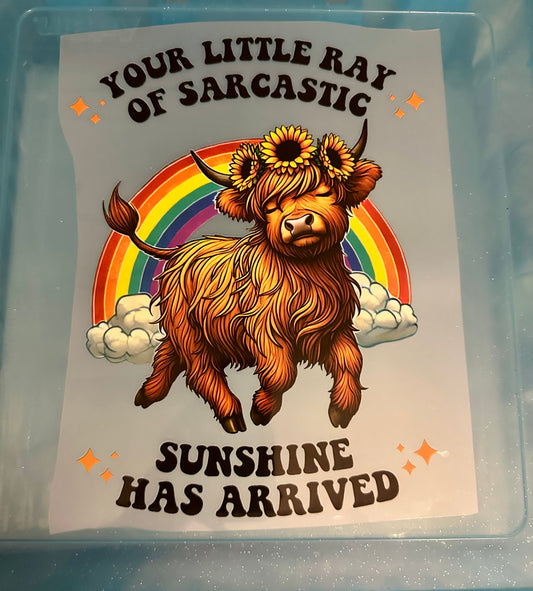 Ray of sunshine